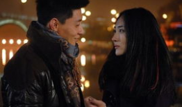 野鸽子电视剧,都市爱情与梦想的交织