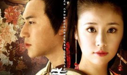 美人心计电视剧,宫廷权谋与爱恨情仇的纠葛