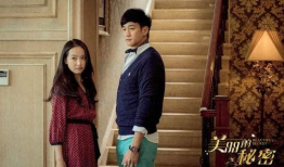 美丽的秘密电视剧